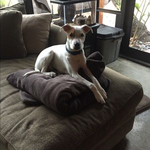 Meet your Posher, Shannon